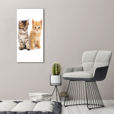 Tableau en verre Chat gris et roux