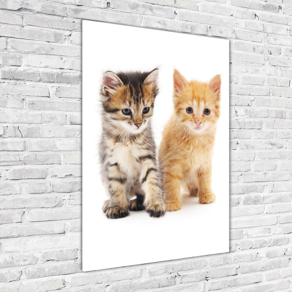 Tableau en verre Chat gris et roux