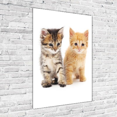 Tableau en verre Chat gris et roux