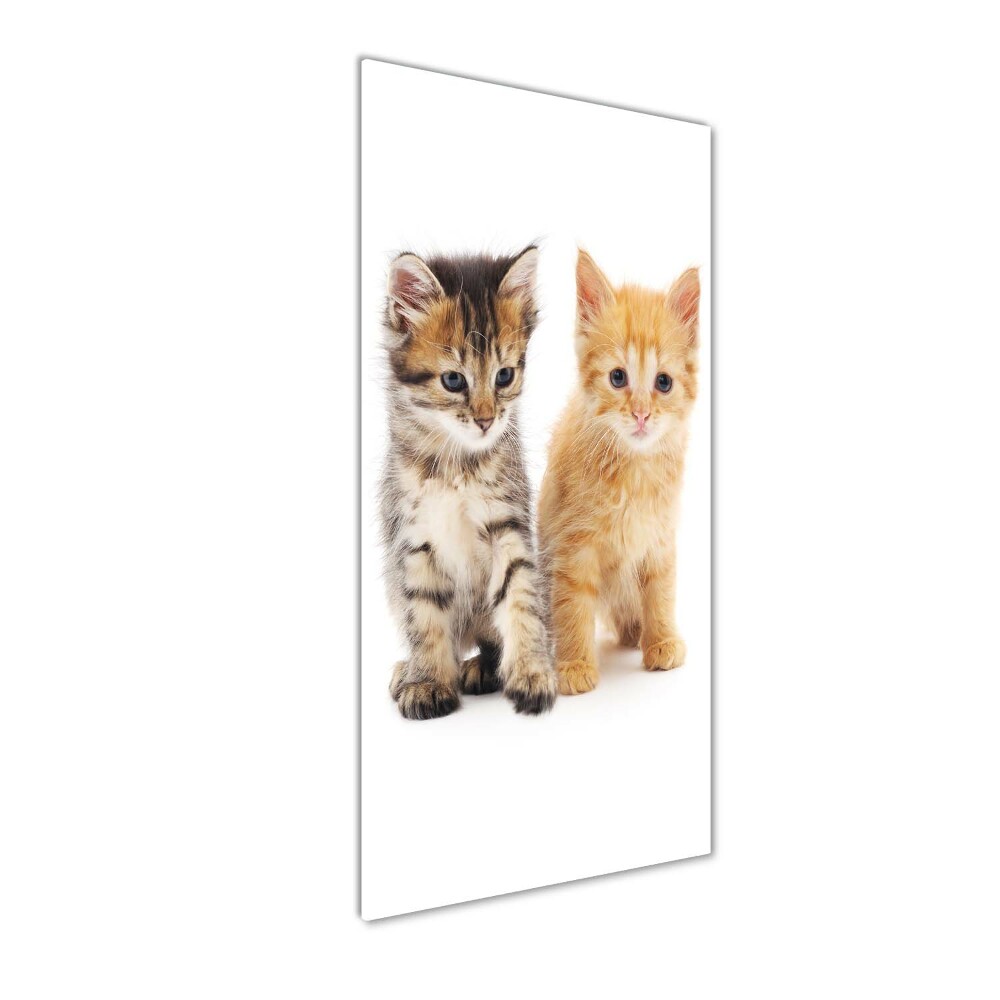 Tableau en verre Chat gris et roux