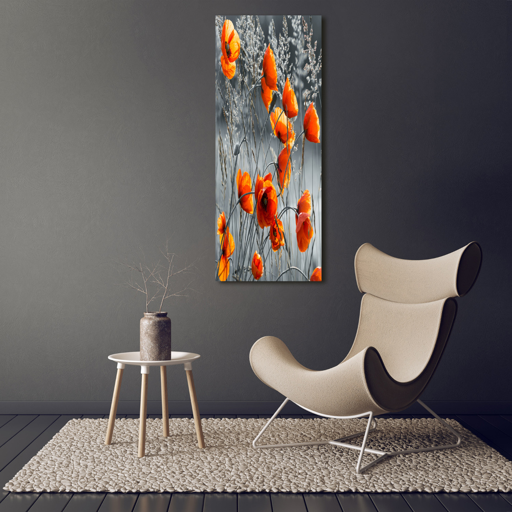 Tableau photo sur verre Coquelicots des champs