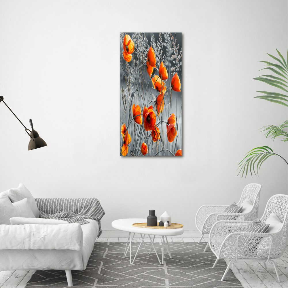 Tableau photo sur verre Coquelicots des champs