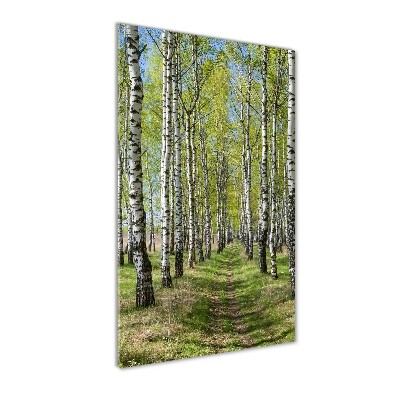 Tableau en verre Forêt bouleau