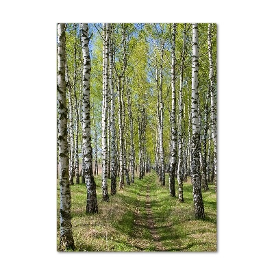 Tableau en verre Forêt bouleau