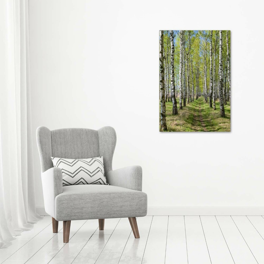 Tableau en verre Forêt bouleau