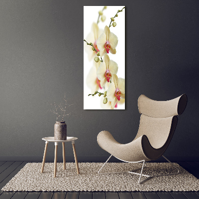 Tableau verre imprimé Orchidée plante