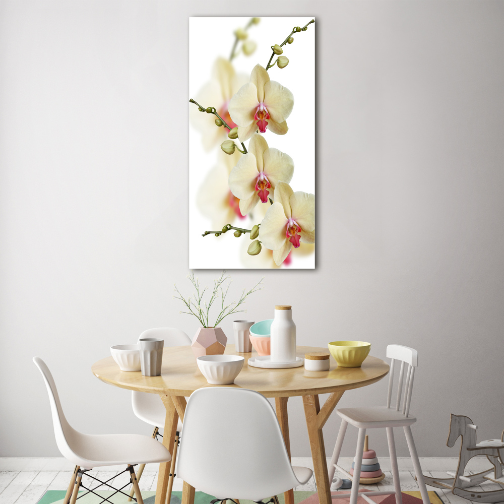 Tableau verre imprimé Orchidée plante