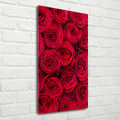 Tableau photo sur verre Rose rouge