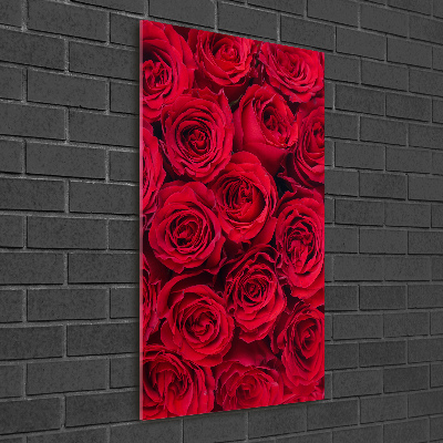 Tableau photo sur verre Rose rouge