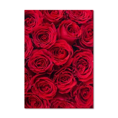 Tableau photo sur verre Rose rouge