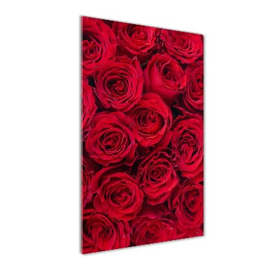 Tableau photo sur verre Rose rouge