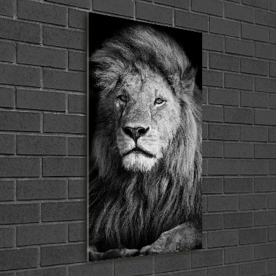 Tableau sur verre Portrait d'un lion