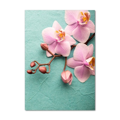 Tableau en verre Orchidée rose fleur