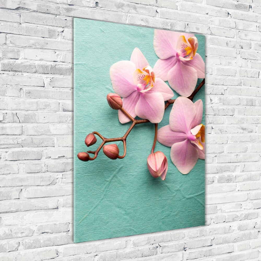 Tableau en verre Orchidée rose fleur
