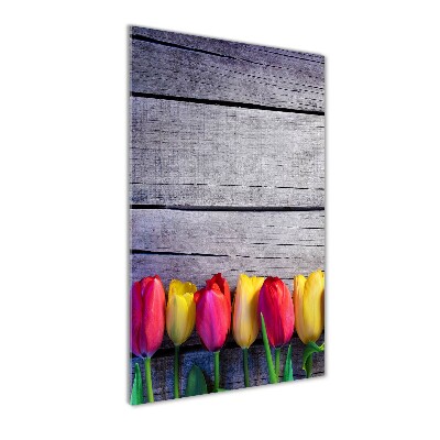 Tableau photo sur verre Tulipes colorées