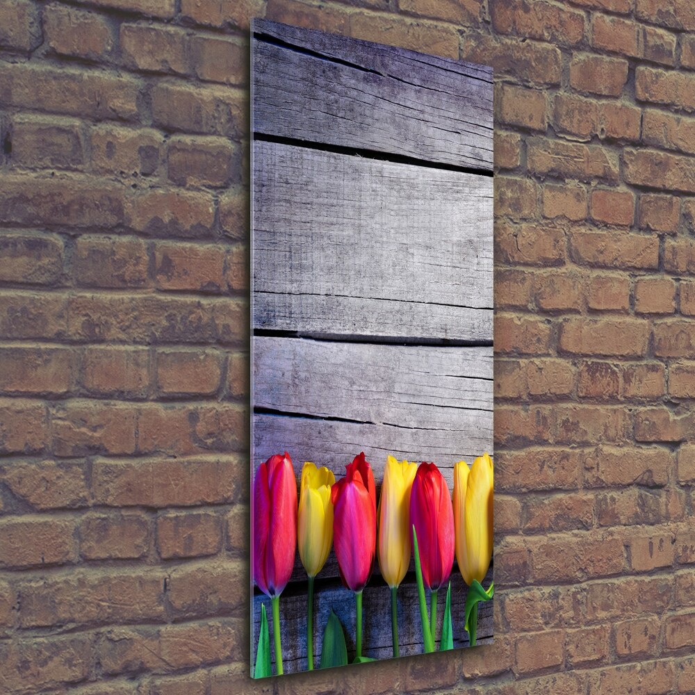 Tableau photo sur verre Tulipes colorées