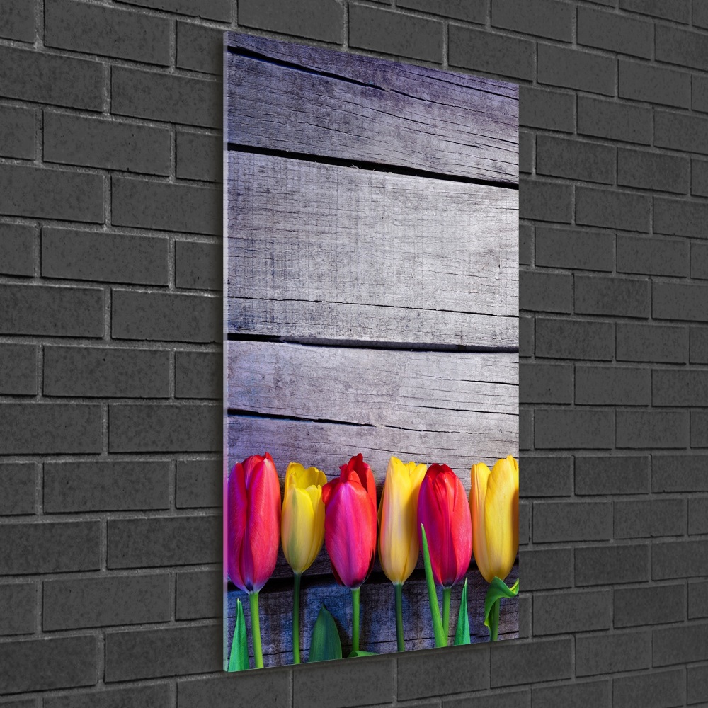 Tableau photo sur verre Tulipes colorées