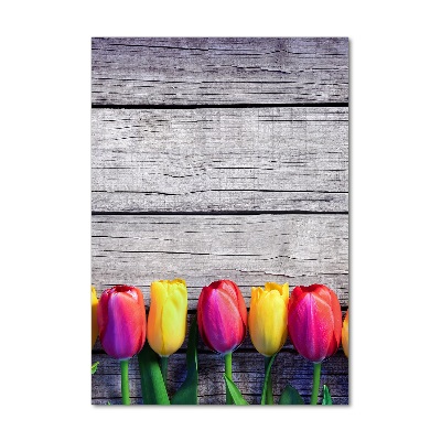 Tableau photo sur verre Tulipes colorées