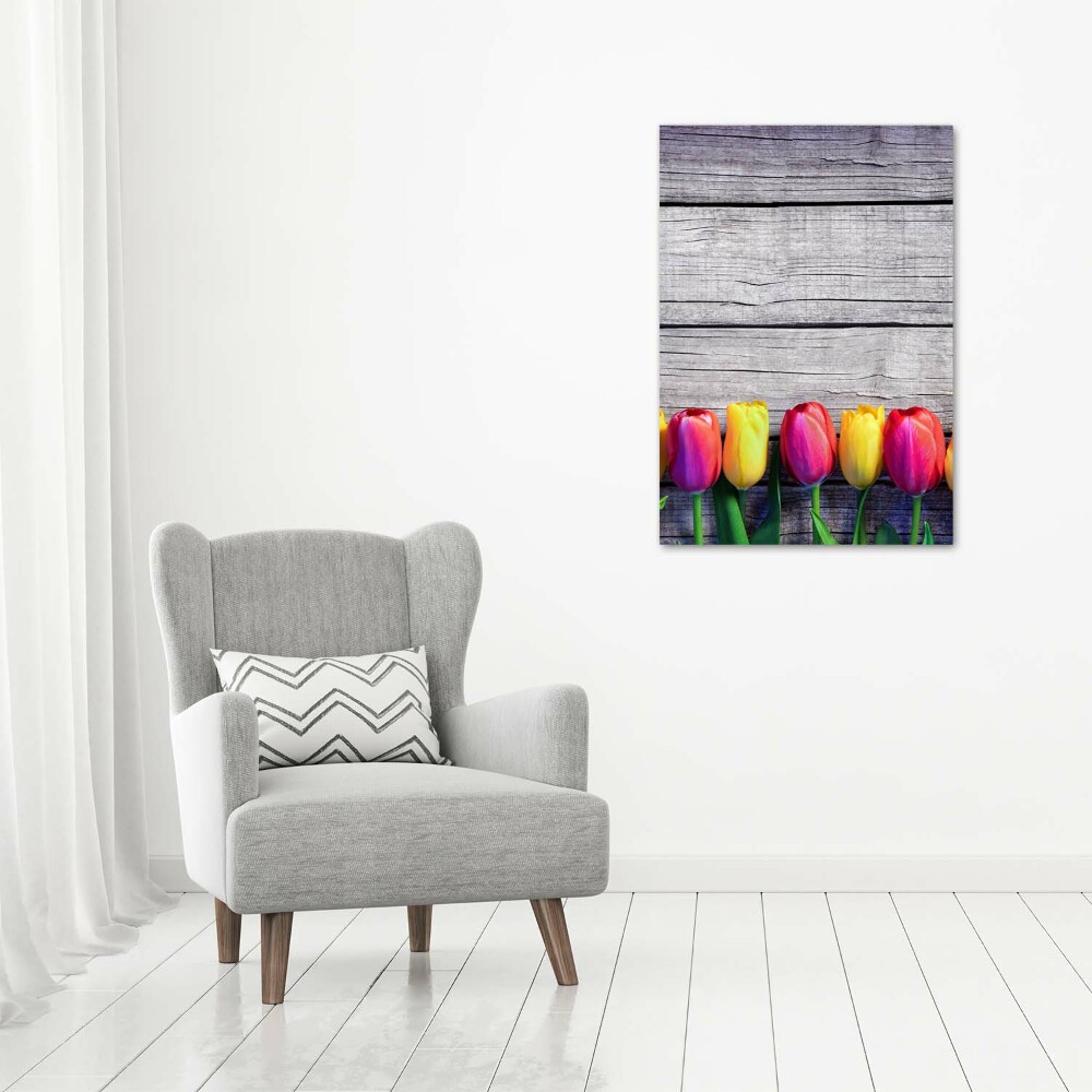 Tableau photo sur verre Tulipes colorées