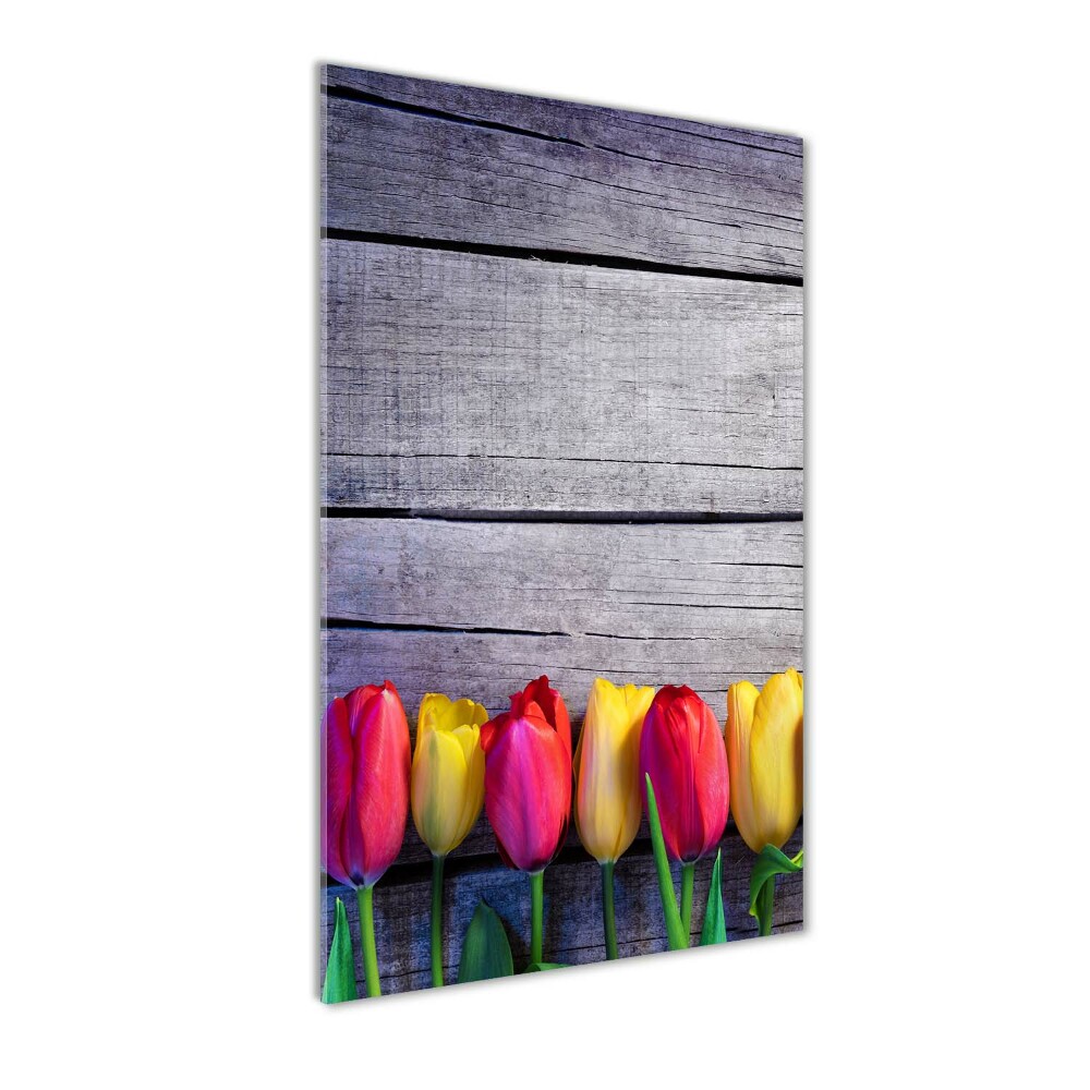 Tableau photo sur verre Tulipes colorées