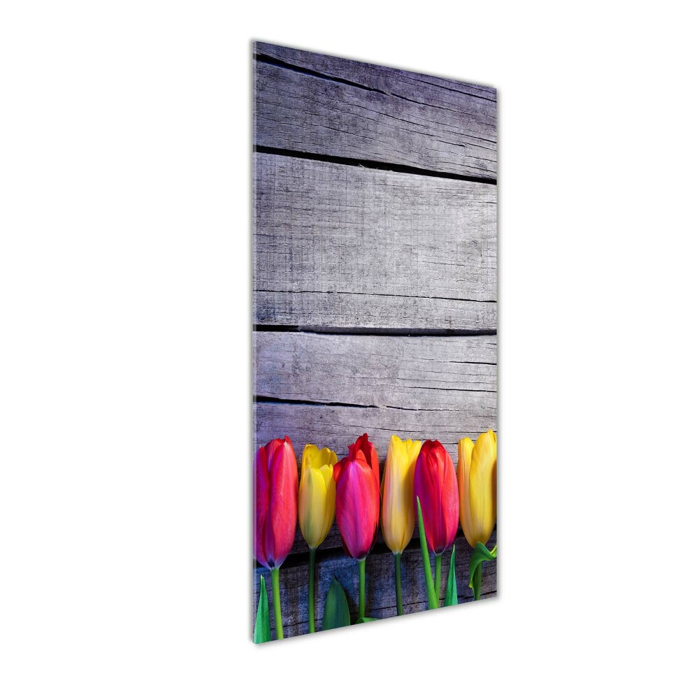 Tableau photo sur verre Tulipes colorées