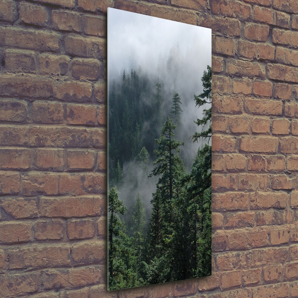 Tableau en verre Brouillard dans la forêt