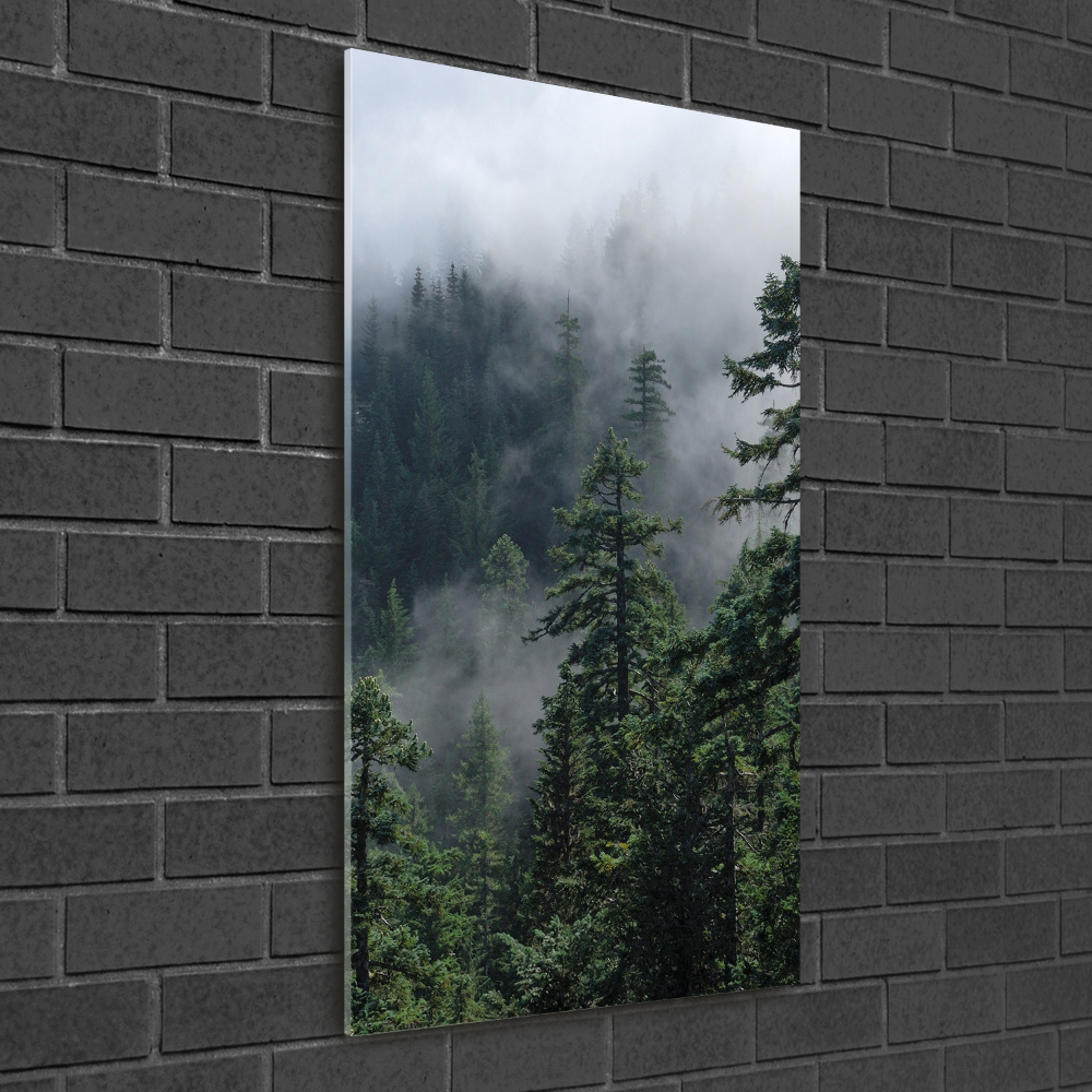 Tableau en verre Brouillard dans la forêt