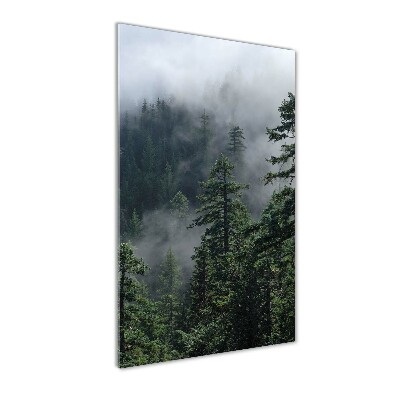 Tableau en verre Brouillard dans la forêt