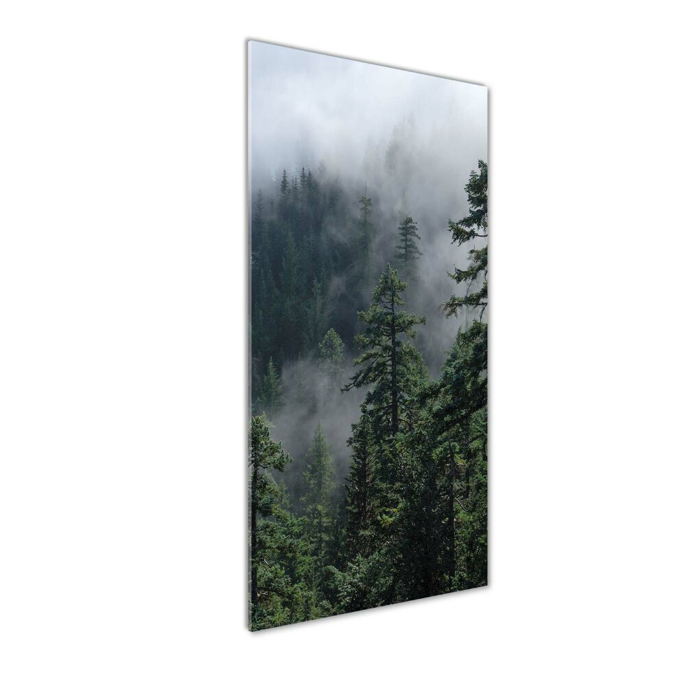 Tableau en verre Brouillard dans la forêt