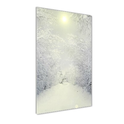 Tableau verre imprimé Forêt en hiver