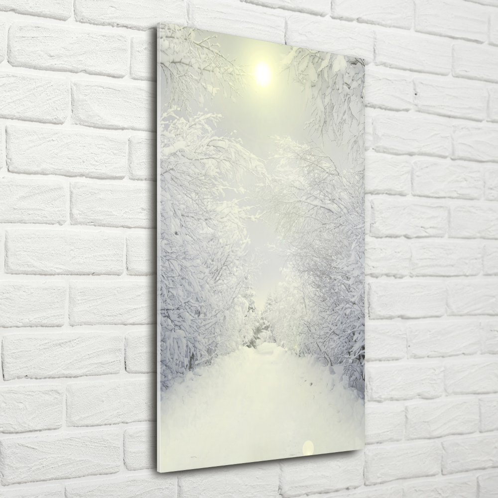 Tableau verre imprimé Forêt en hiver