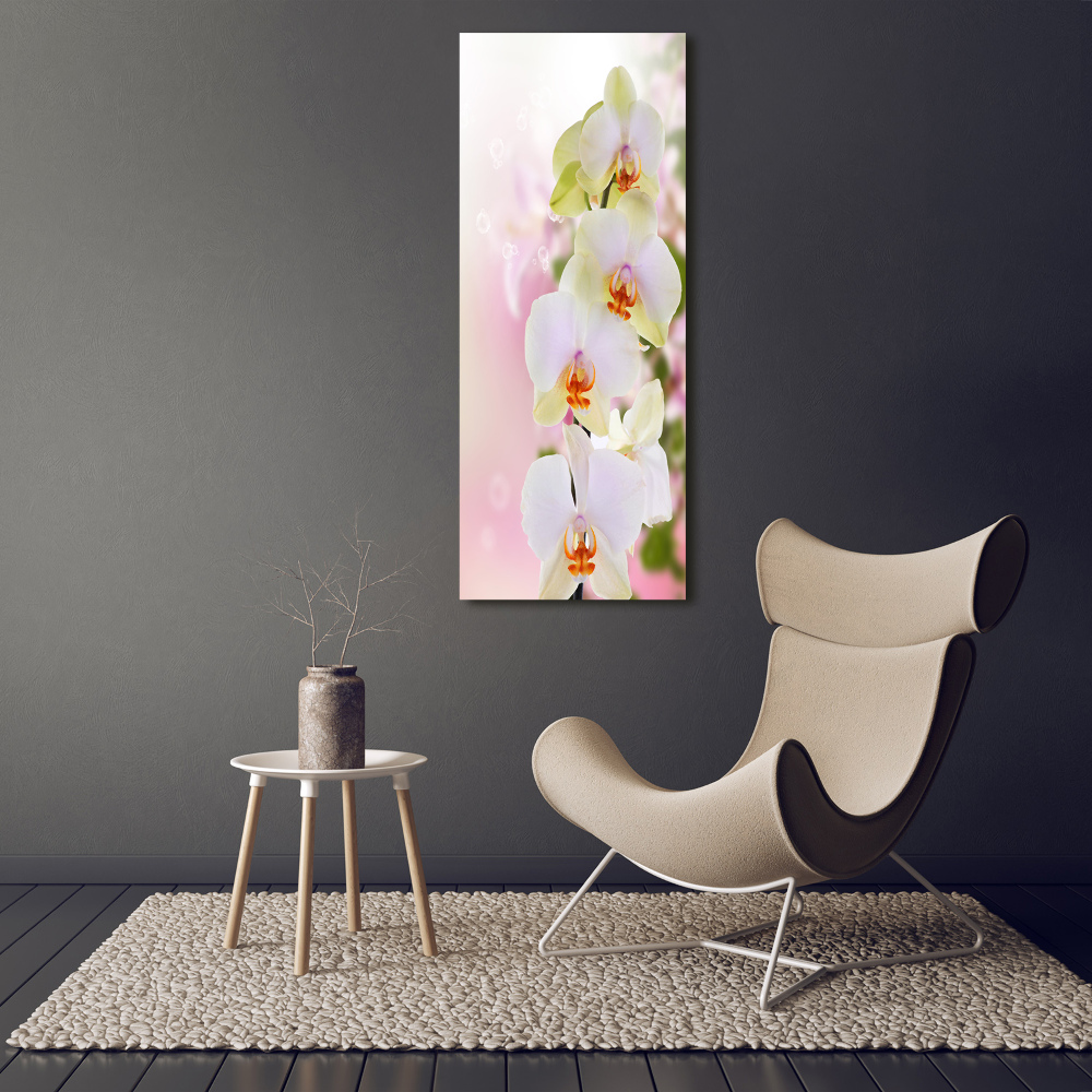 Tableau imprimé sur verre Orchidée blanche