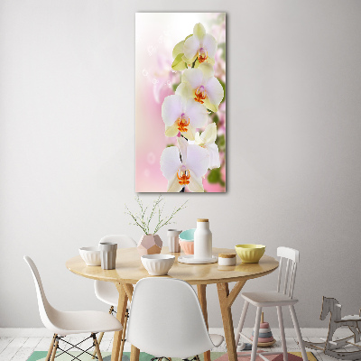 Tableau imprimé sur verre Orchidée blanche