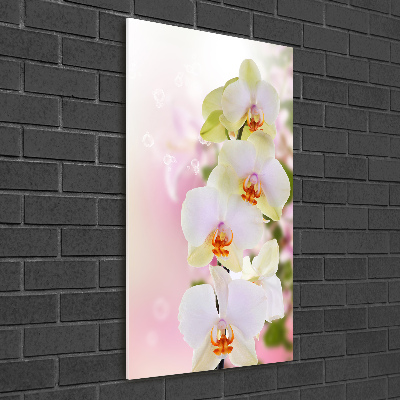 Tableau imprimé sur verre Orchidée blanche