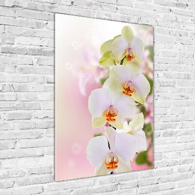 Tableau imprimé sur verre Orchidée blanche