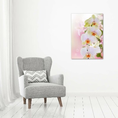 Tableau imprimé sur verre Orchidée blanche