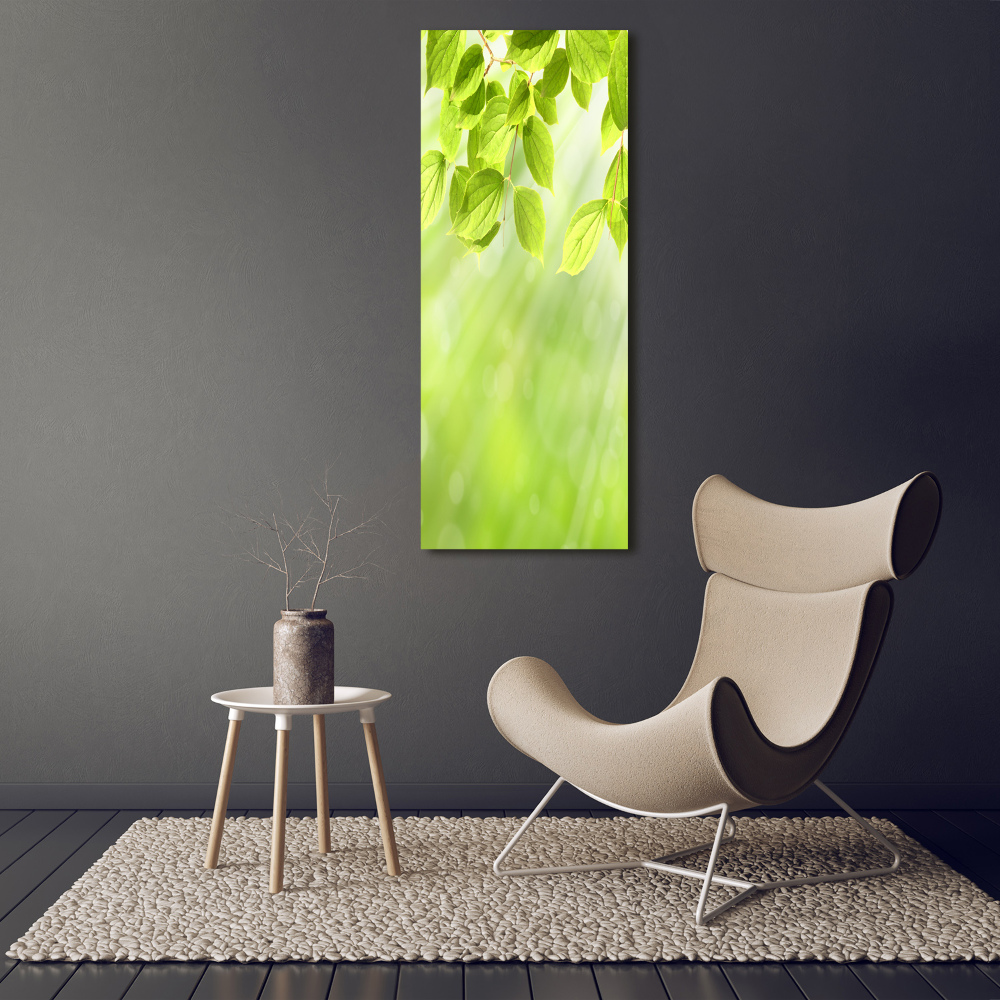 Tableau photo sur verre Feuilles vertes