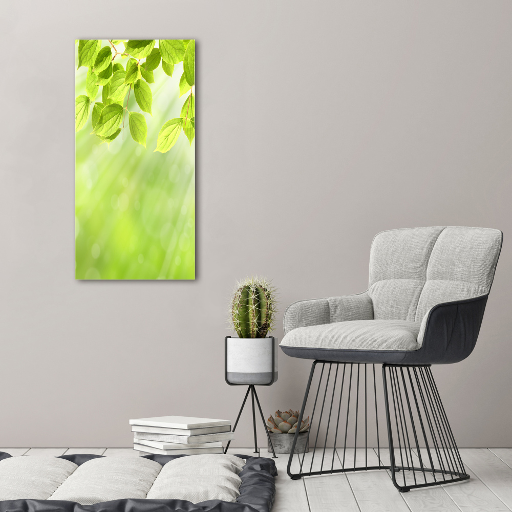 Tableau photo sur verre Feuilles vertes