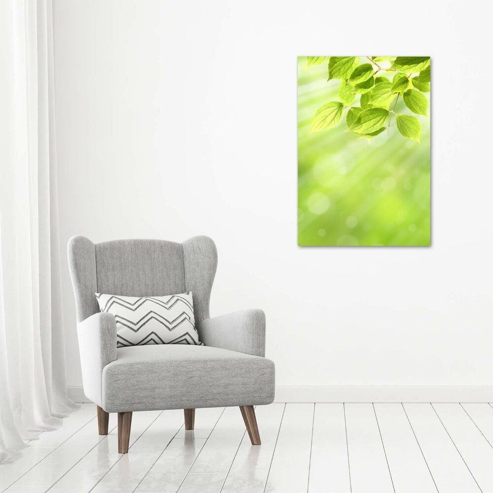 Tableau photo sur verre Feuilles vertes