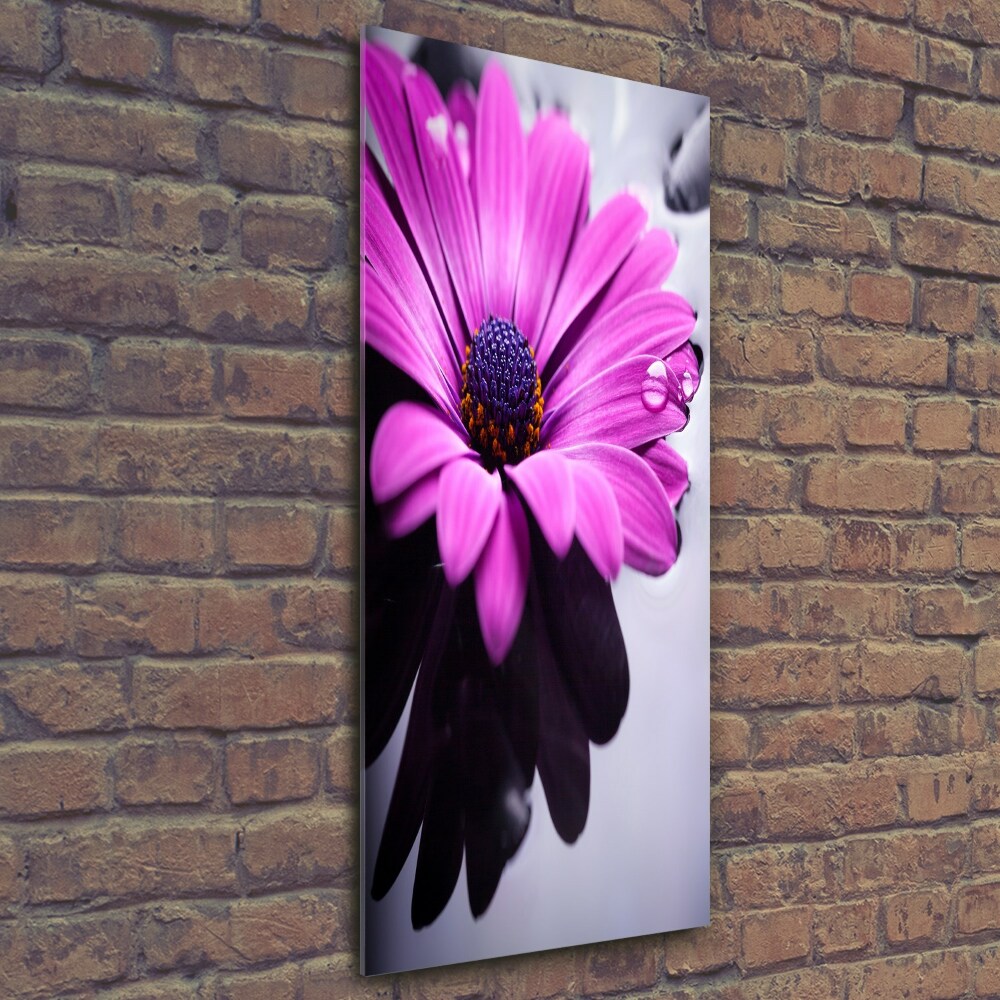 Tableau en verre Gerbera rose