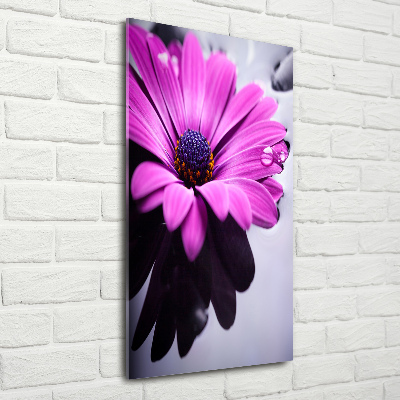 Tableau en verre Gerbera rose