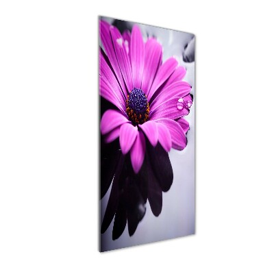 Tableau en verre Gerbera rose