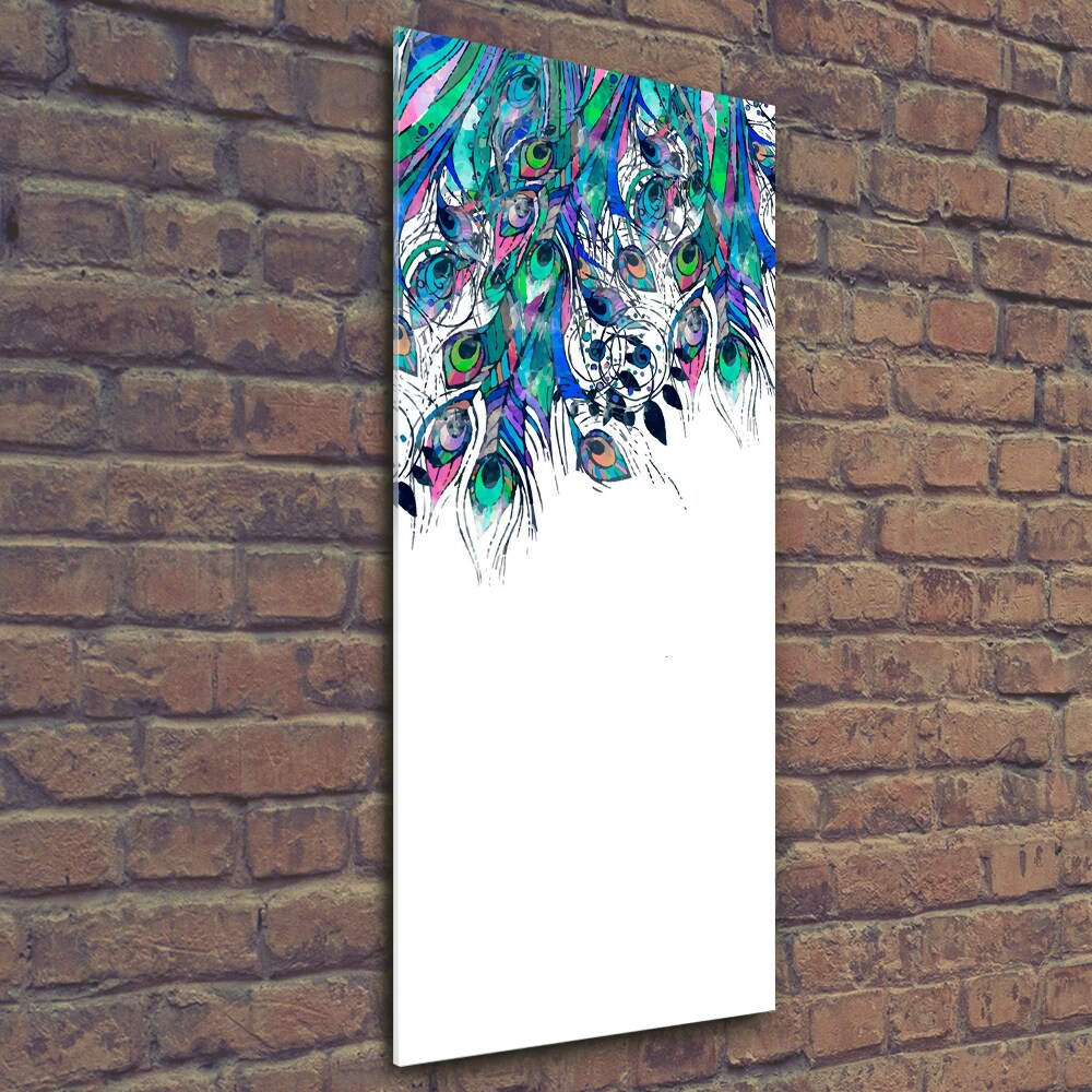 Tableau photo sur verre Plumes de paon