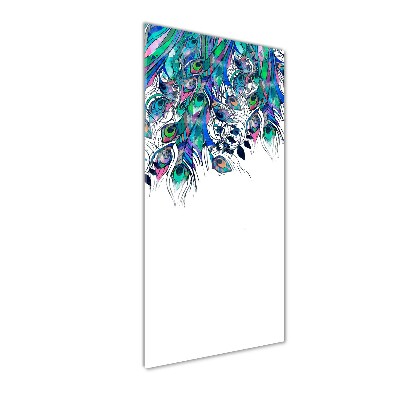 Tableau photo sur verre Plumes de paon