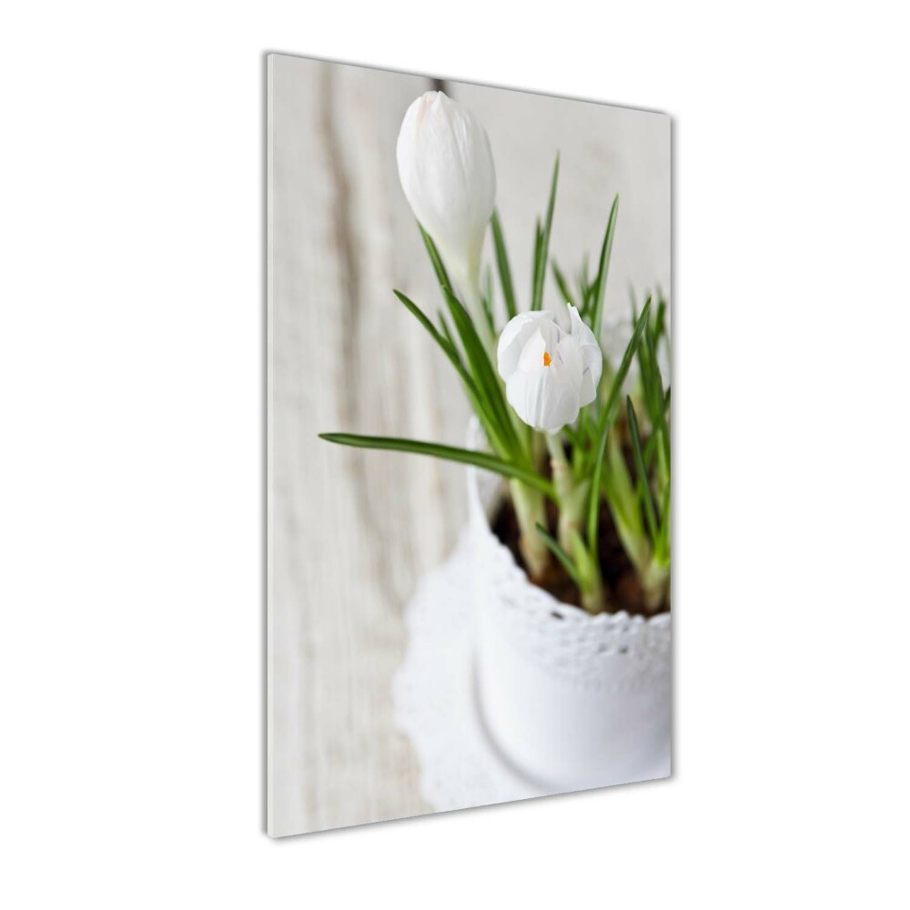 Tableau en verre Crocus blancs