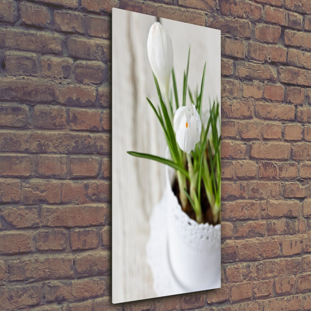 Tableau en verre Crocus blancs