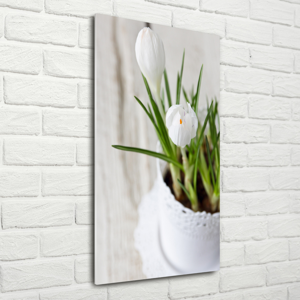 Tableau en verre Crocus blancs