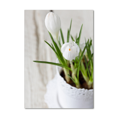 Tableau en verre Crocus blancs