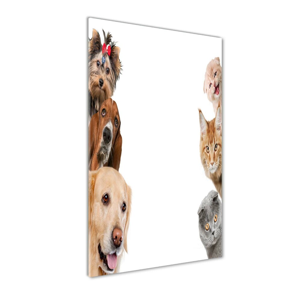 Tableau en verre Chiens et chats