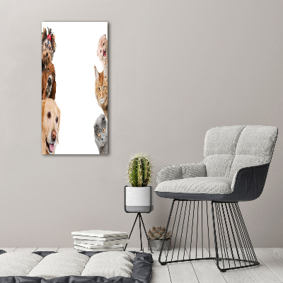 Tableau en verre Chiens et chats